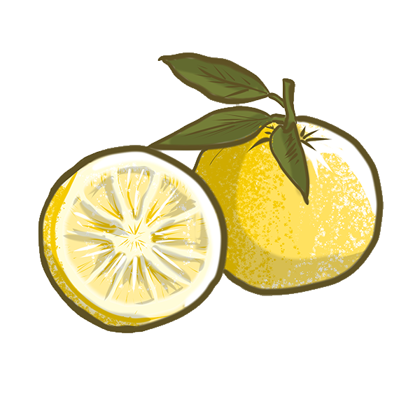 Uwajipedia, Learn More About Yuzu Citrus Fruit