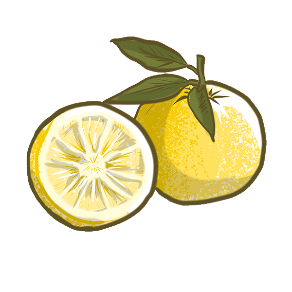 Uwajipedia, Learn More About Yuzu Citrus Fruit