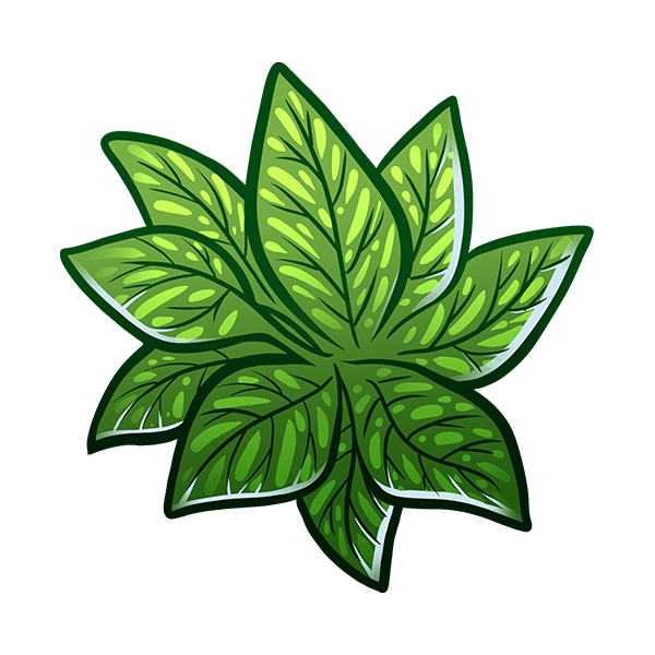 Uwajipedia Learn More About Basil in Asian Cuisine Uwajimaya