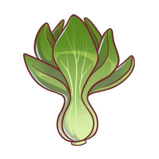 Uwajimaya | Uwajipedia - Bok Choy