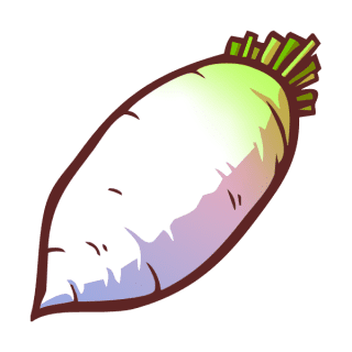 Uwajimaya | Uwajipedia - Daikon