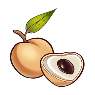 Uwajimaya | Uwajipedia - Longan Fruit