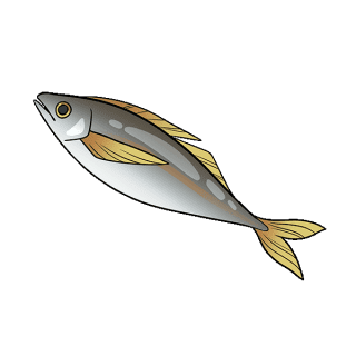 Uwajimaya | Uwajipedia - Horse Mackeral