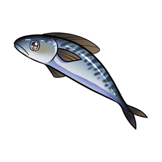 Uwajimaya | Uwajipedia - Mackerel