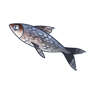 Uwajimaya | Uwajipedia - Milkfish