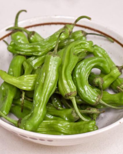 Shishito peppers