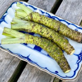 Fresh wasabi