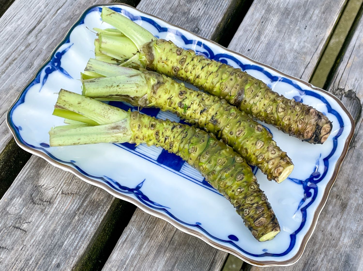 What Is Wasabi - Tips For Using Wasabi Vegetable Root