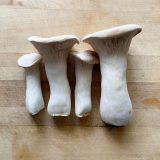 Uwajimaya | Produce - Mushrooms