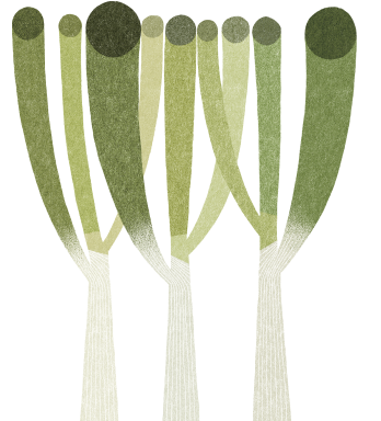 Green Onion