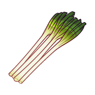 Naganegi (Japanese Leek) Illustration | Uwajimaya