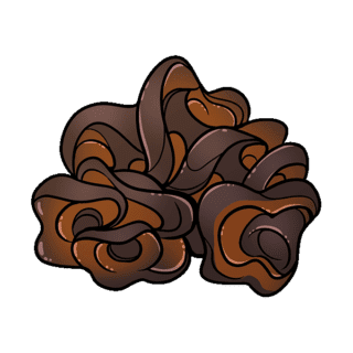 Black Fungus Illustration | Uwajimaya