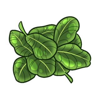 Makrut Lime Leaves Illustration | Uwajimaya