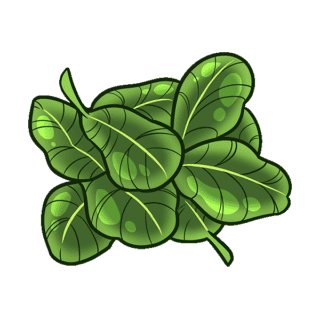 Makrut Lime Leaves Illustration | Uwajimaya