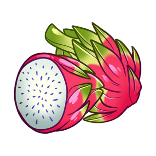 Dragon Fruit Illustration | Uwajimaya