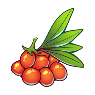 Goji Berries Illustration | Uwajimaya