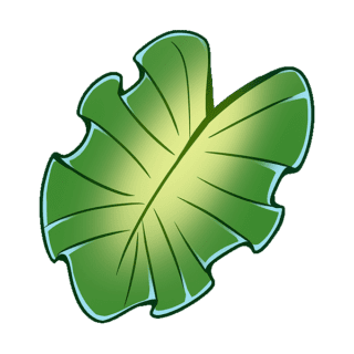 Taro Leaves Illustration | Uwajimaya