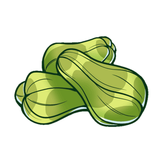 Chayote Illustration | Uwajimaya