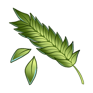 Curry Leaf Illustration | Uwajimaya